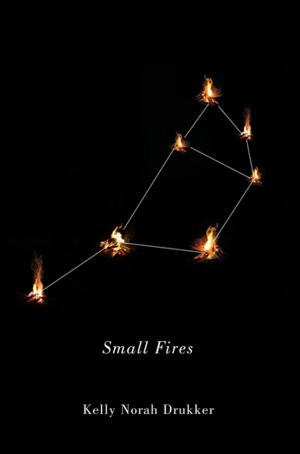 Cover of the book Small Fires by David A. Charters