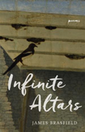 bigCover of the book Infinite Altars by 