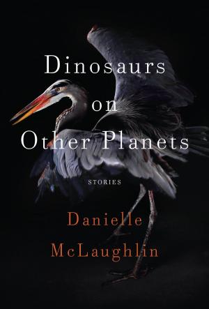 Cover of the book Dinosaurs on Other Planets by Joyce Carol Oates