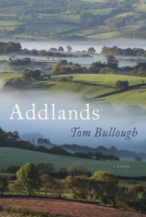 bigCover of the book Addlands by 