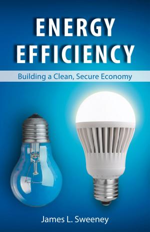 Book cover of Energy Efficiency