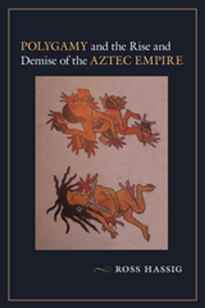 Cover of the book Polygamy and the Rise and Demise of the Aztec Empire by Noah Blaustein