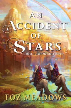 Cover of the book An Accident of Stars by Renee McGregor