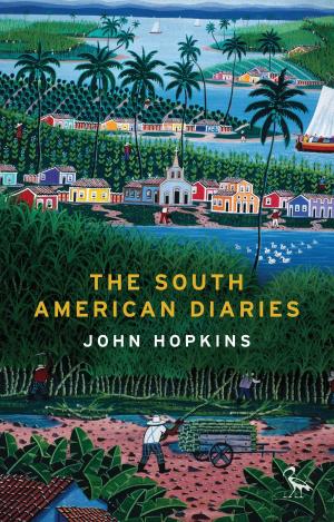 Cover of the book The South American Diaries by Joe Bailey