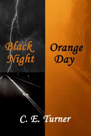 Book cover of Black Night Orange Day