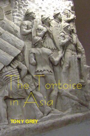 Cover of the book The Tortoise in Asia by Rudolf Kurtz
