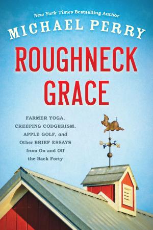 Book cover of Roughneck Grace
