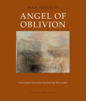 bigCover of the book Angel of Oblivion by 