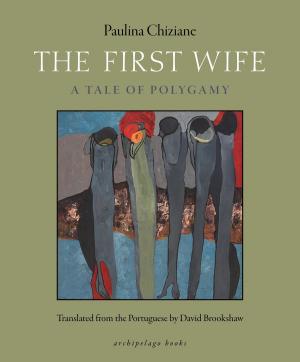 Cover of the book The First Wife by Kimberly Sigafus