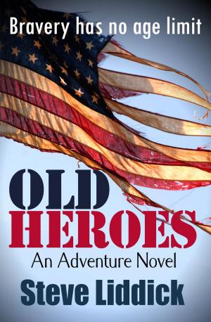 Cover of the book Old Heroes by Jamie Sedgwick