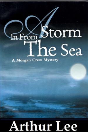 Book cover of A Storm In From The Sea
