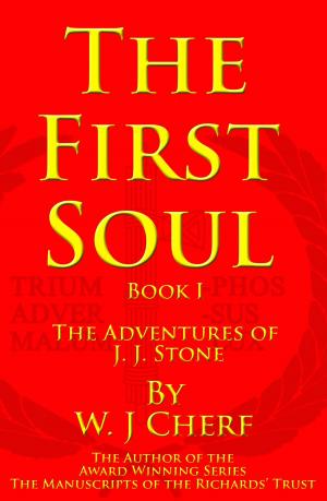 Book cover of The First Soul. Book I. The Adventures of J. J. Stone