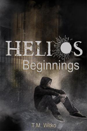 Cover of the book Helios Beginnings by Reese A. Stephens