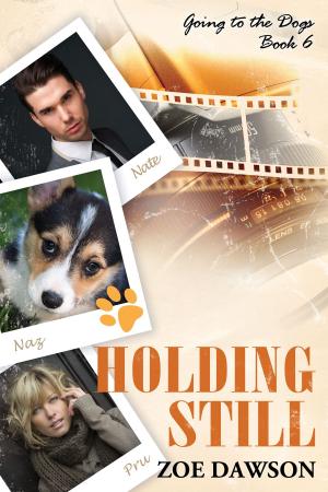 Cover of the book Holding Still by A. Sparrow