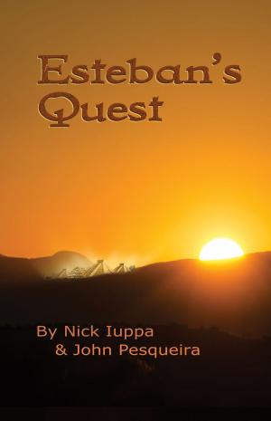 Book cover of Esteban's Quest