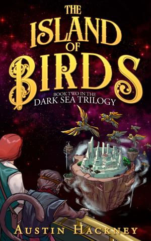 bigCover of the book The Island of Birds: Book Two in the Dark Sea Trilogy (Volume 2) by 