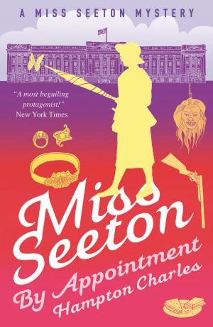 bigCover of the book Miss Seeton, By Appointment by 