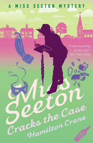 Book cover of Miss Seeton Cracks the Case