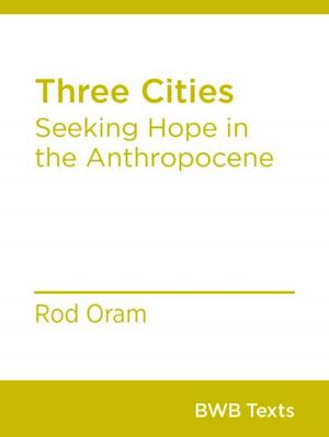 Cover of the book Three Cities by Veronika Meduna