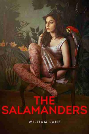 Cover of the book The Salamanders by Dominique Wilson
