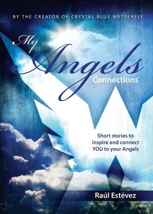 Book cover of My Angels Connections