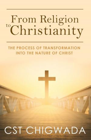 Cover of the book From Religion to Christianity: The Process Of Transformation Into The Nature Of Christ by Buffy St. John