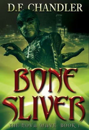 Cover of the book Bone Sliver by Rachel Redd