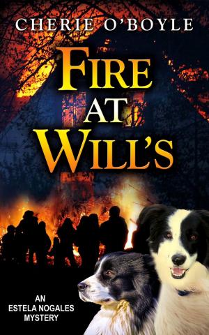 Cover of the book Fire at Will's by Cathy Ace