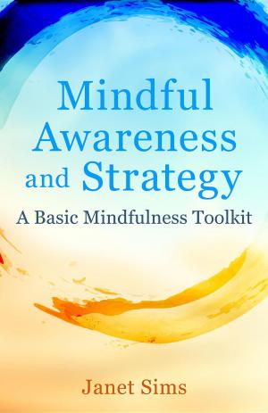 Cover of the book Mindful Awareness and Strategy by Christopher Vasey, N.D.