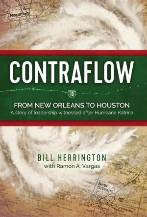 Cover of the book Contraflow by Allen Hansen
