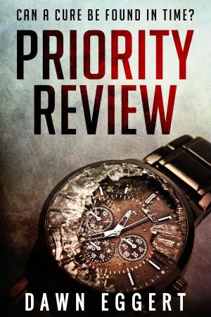 Cover of the book Priority Review by Theodore Jerome Cohen