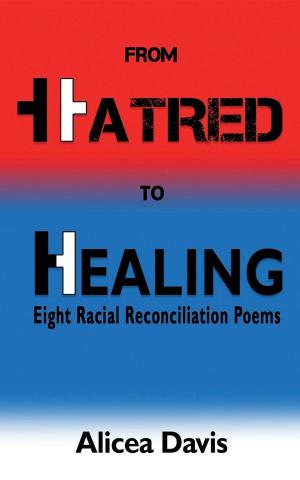 Cover of the book From Hatred to Healing by Erwin Raphael McManus