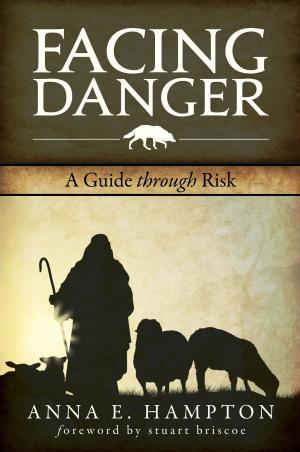 Cover of the book Facing Danger by Raymond Cross