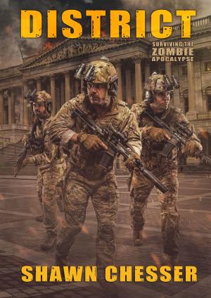 Book cover of District: Surviving the Zombie Apocalypse