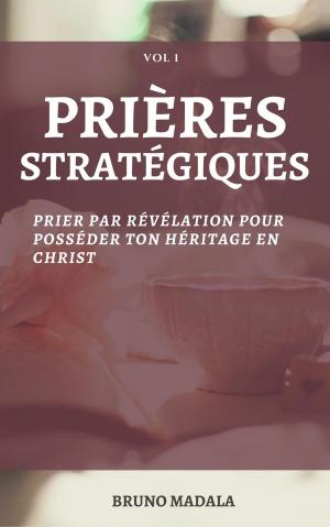 Cover of the book PRIERES STRATEGIQUES: Prier Par Révélation Pour Posséder Votre Héritage En Christ by Schimonach Ilarion