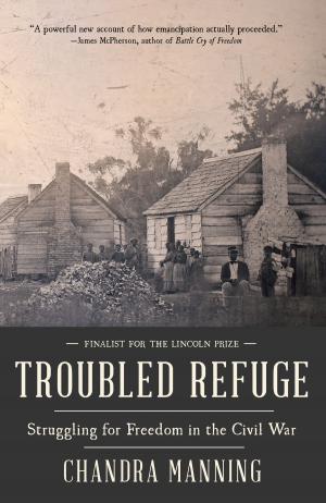 Cover of the book Troubled Refuge by Abigail Pogrebin