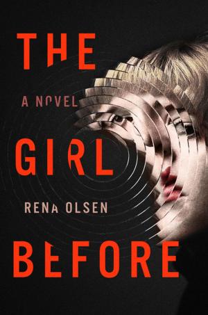 Cover of the book The Girl Before by Nicole Vasbinder