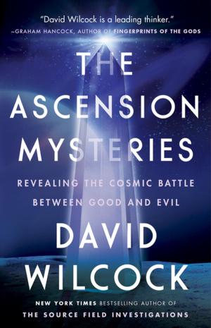 Cover of the book The Ascension Mysteries by Christine Clifford