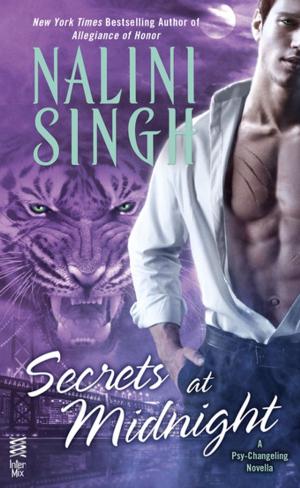bigCover of the book Secrets at Midnight by 