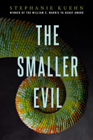 Cover of the book The Smaller Evil by HP Newquist