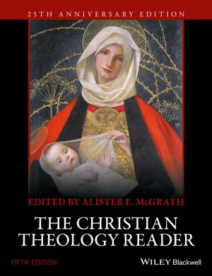 Cover of the book The Christian Theology Reader by Richard Bookstaber