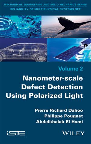 Book cover of Nanometer-scale Defect Detection Using Polarized Light