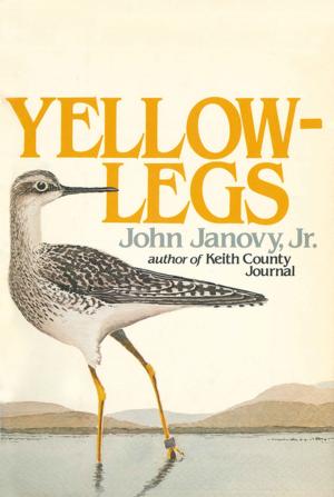 bigCover of the book Yellowlegs by 