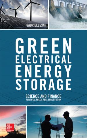 Cover of the book Green Electrical Energy Storage by Michael Duchowny, Helen Cross, Alexis Arzimanoglou