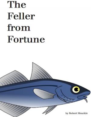 Cover of the book The Feller from Fortune by John O'Loughlin