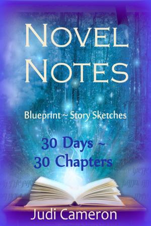 Book cover of Novel Notes: 30 Days ~ 30 Chapters