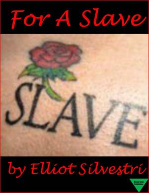 Cover of the book For A Slave by Elliot Silvestri