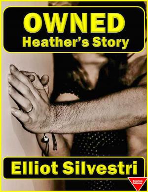 Cover of the book Owned: Heather's Story by P. LeZure