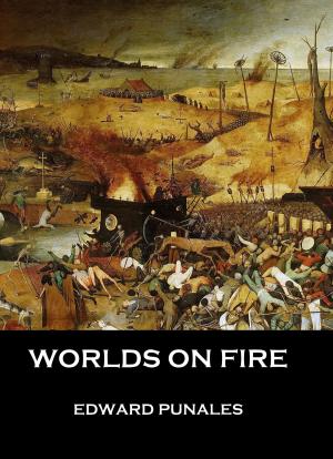 Cover of the book Worlds on Fire by Lily Rose
