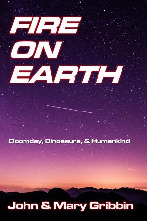 Book cover of Fire on Earth